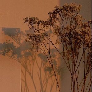 Meet your Posher, Carmen